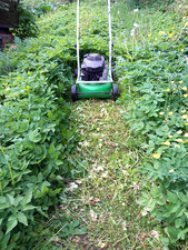 Garten- und Objektpflege Die Lärche